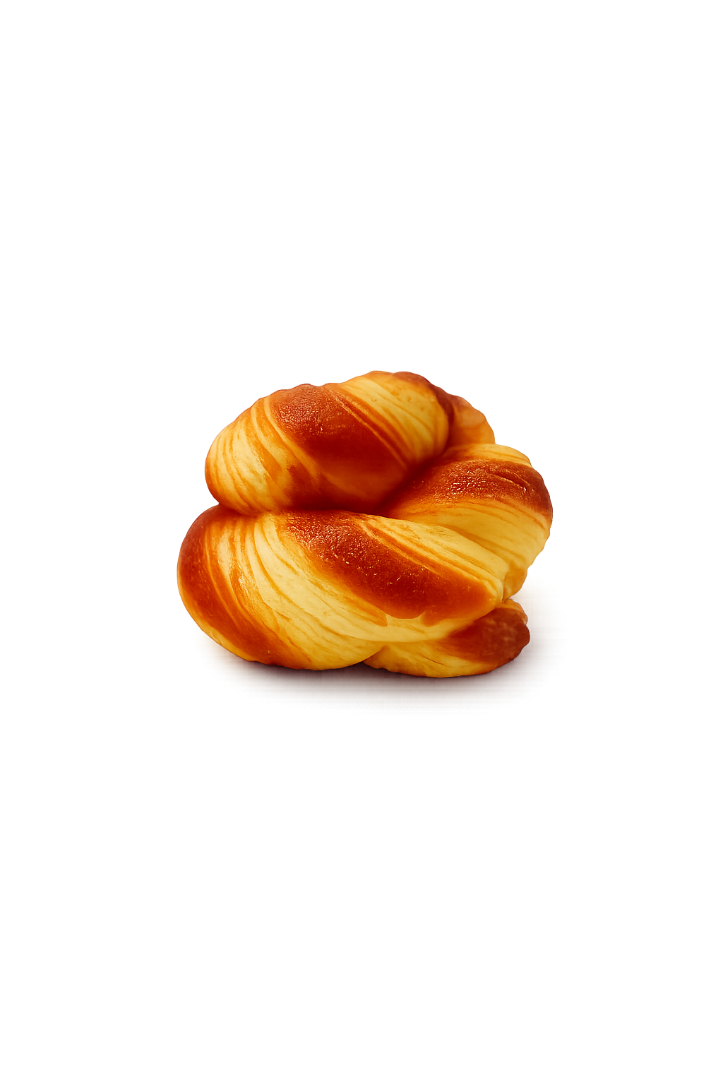Fuji Bun Squishy