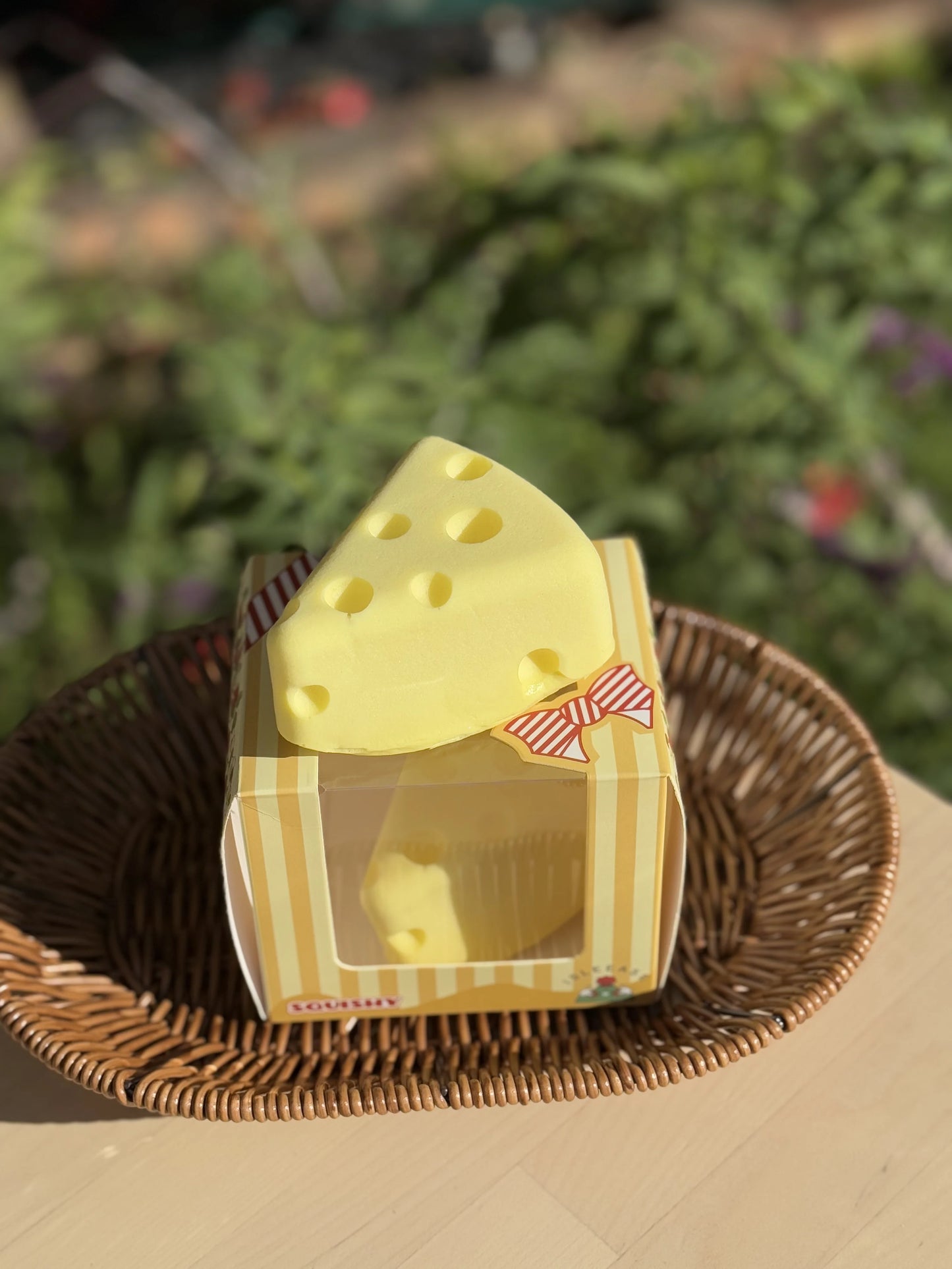 Swiss Cheese Squishy